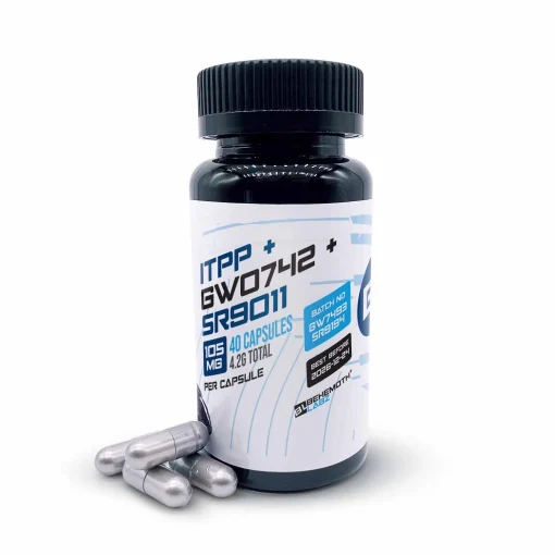 ITPP + GW0742 + SR9011 Combined Formulas Capsule 40 Capsules | Behemothlabz